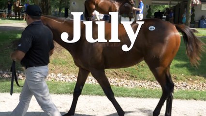 Fasig-Tipton July Sale