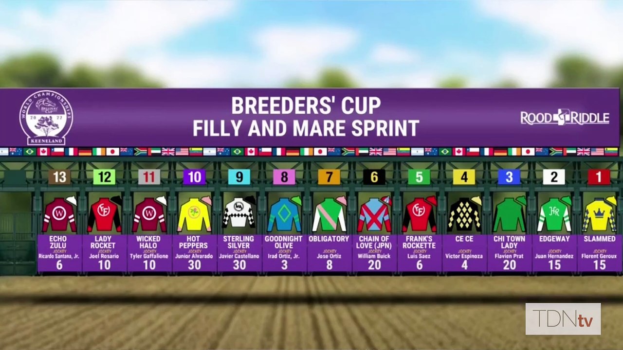 The TDN Writers' Room: 2022 Breeders' Cup Edition