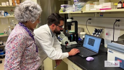 Dr. Emma Adam on the Gluck Equine Research Center