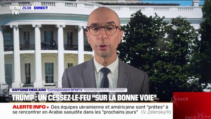 Ukraine: Donald Trump propose que les États-Unis prennent "possession" des centrales ukrainiennes comme garantie de sécurité