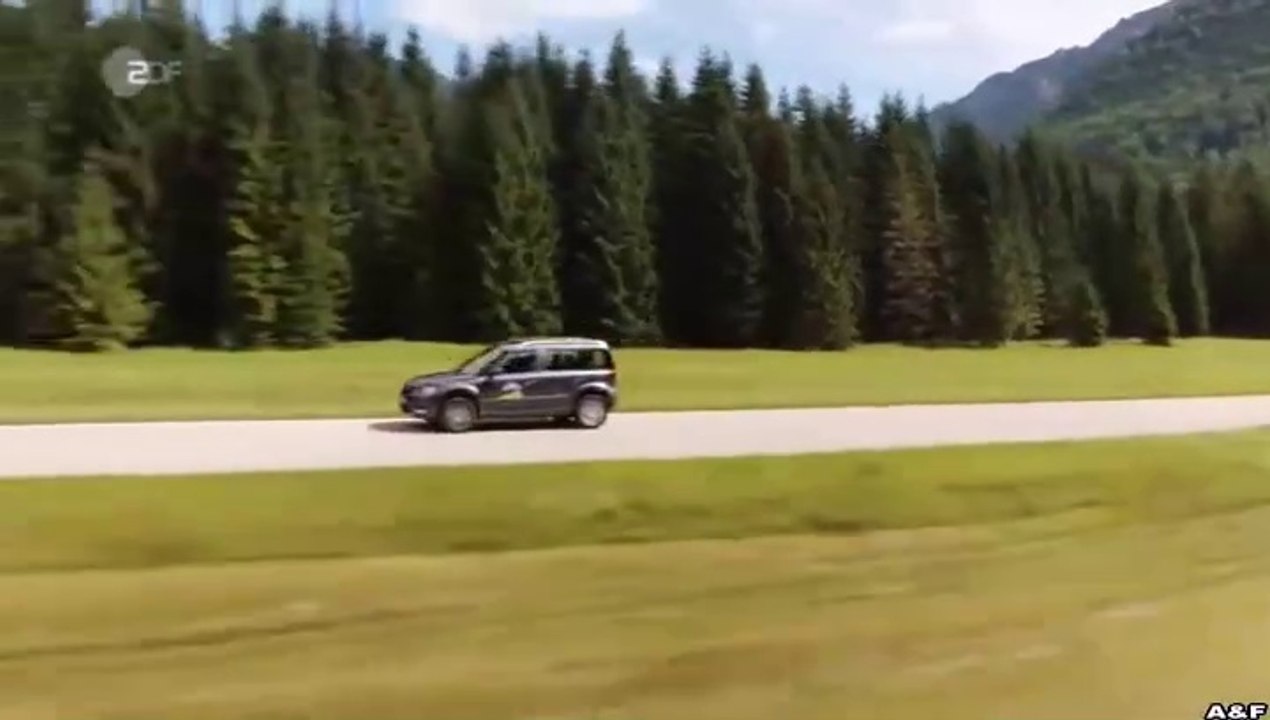 Frühling -17- Wenn Kraniche fliegen