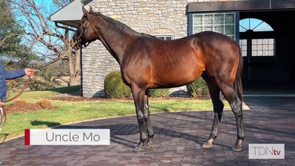 Uncle Mo’s Royal Slipper Shines at Keeneland