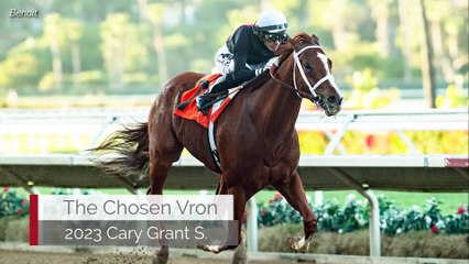 Three-Way Tie for Fastest Horse of the Week