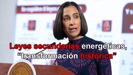 Leyes secundarias energéticas, propias de una "transformación histórica": González
