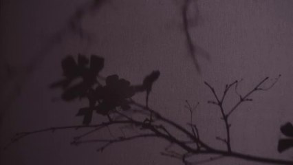 'Royal Ballet and Opera: Madama Butterfly' - Tráiler Oficial