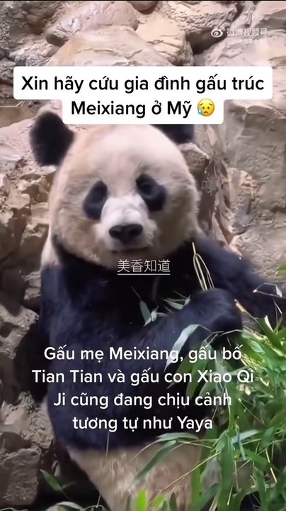 Xin hãy cứu gia đình em ấy 😔