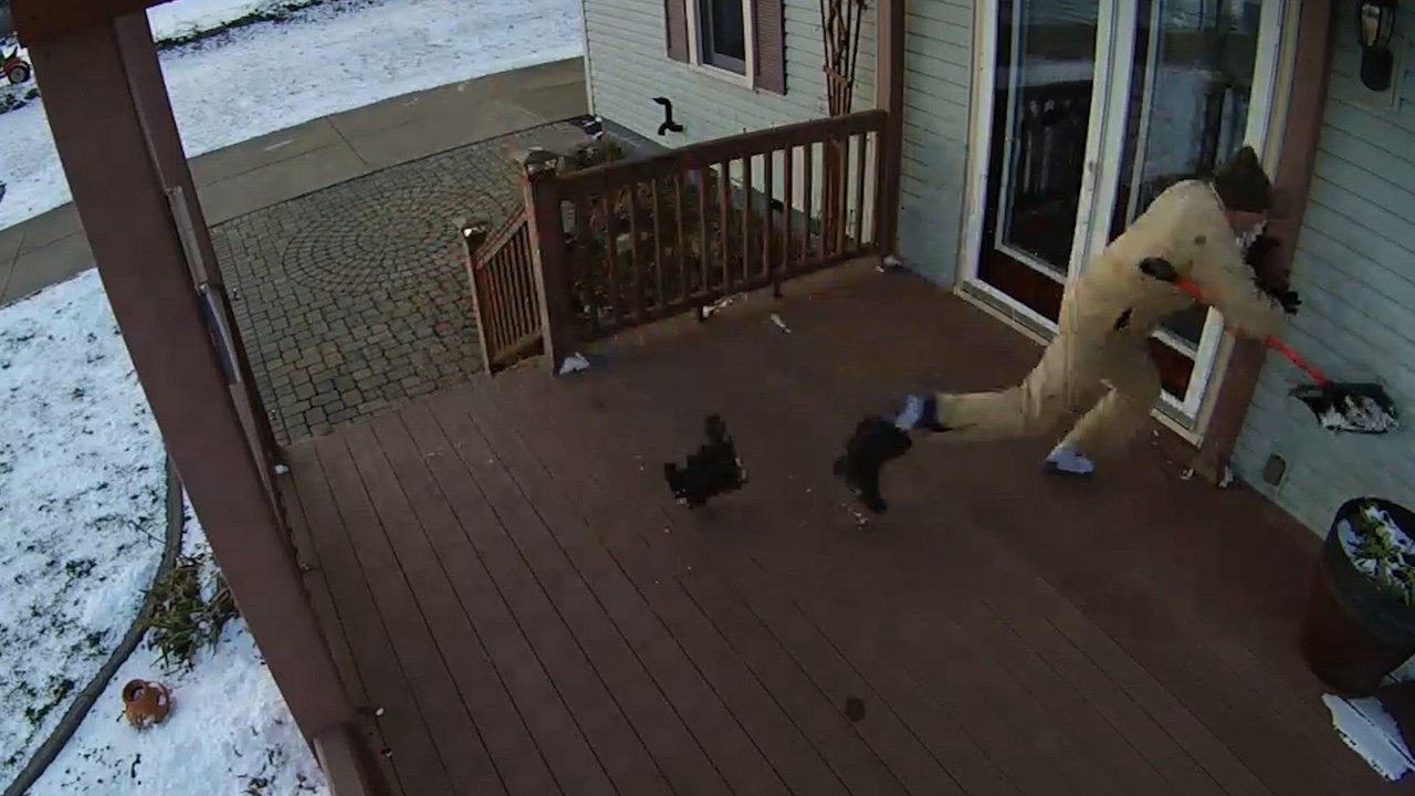 Caught on Camera