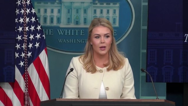 White House declares Russia and Ukraine ‘never been closer to peace’ after Trump Zelensky call