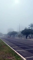 Neblina pega moradores de samambaia de surpresa