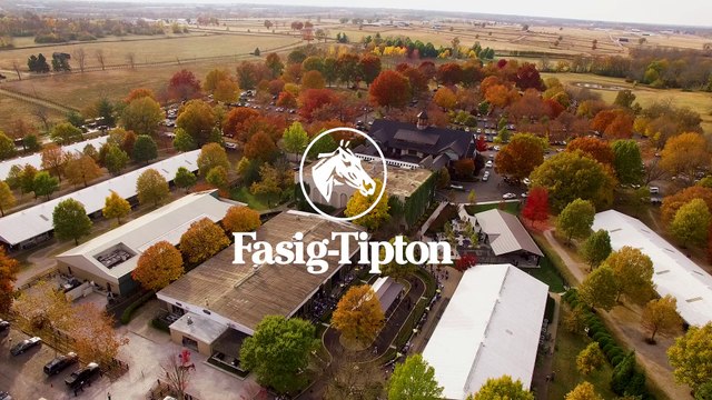 Fasig-Tipton November Entries