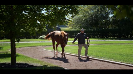 Lanes End - Lexitonian