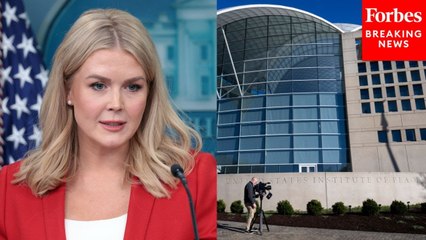 Karoline Leavitt Asked Point Blank If DOGE 'Illegally' Entered US Institute Of Peace Building