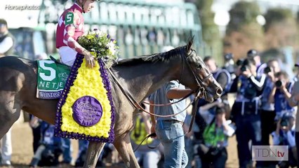 Wonder Wheel Could Provide Buyer The Ride of a Lifetime at Fasig-Tipton November