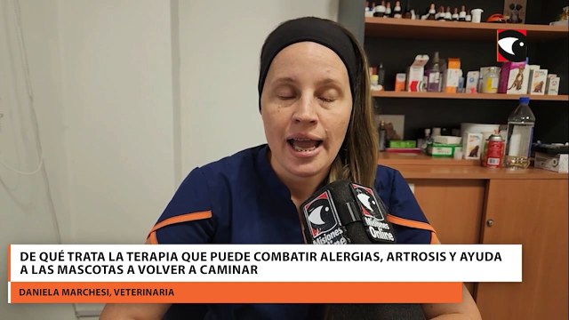 De qué trata la terapia que puede combatir alergias, artrosis y ayuda a las mascotas a volver a caminar