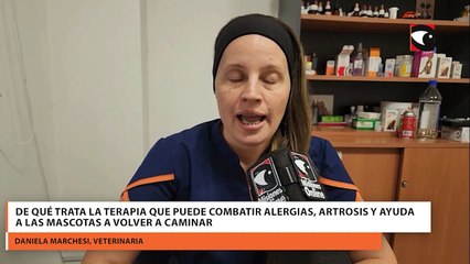 De qué trata la terapia que puede combatir alergias, artrosis y ayuda a las mascotas a volver a caminar