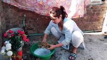 Aj Mena Apna Rom Clean Kiya __ Today waking Day _ RuralLife Pakistan village lifestyle panjab