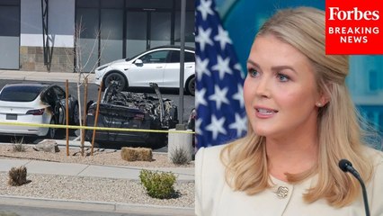Karoline Leavitt Asked If Tesla Attacks Are Being Investigated As Incidents Of Organized Terror