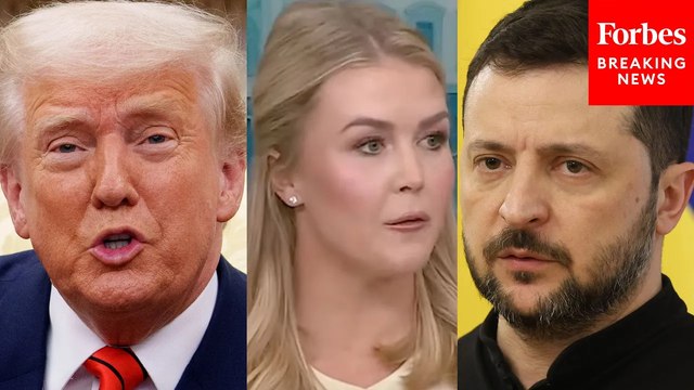 Reporter Asks Karoline Leavitt: Did Trump And Zelensky Announce Minerals Deal?
