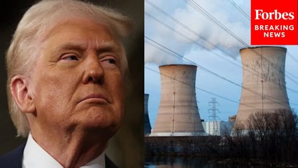 Tammy Bruce Asked Point Blank About Proposal For US To Take Control Of Ukrainian Power Plants
