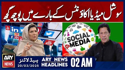 Questioning Regarding Social Media Accounts - ARY News 2 AM Headlines | 20th March 2025
