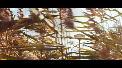 Forbidden island hid a terrifying secret_ _ Best Horror Movie _ Thriller _ Full Movies in English 4K