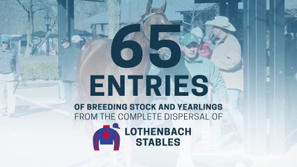 Fasig-Tipton KY Winter Mixed Sale (Lothenbach Dispersal)