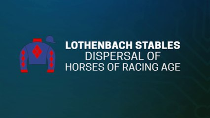 FAST2302H - FT Digital HORA Winter