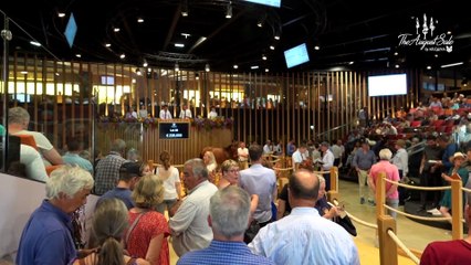 Arqana August 2023 Day 1