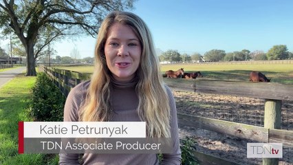 Wonder Wheel Prepares for Sophomore Debut