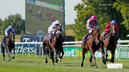 Group 1 Winners Prosperous Voyage And Lezoo Set To Shine At Tattersalls Sceptre Sessions