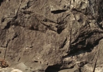 Hanumankind - Run It Up (Prod. Kalmi) | (Videoclip oficial)