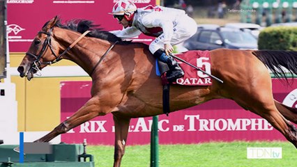 G1 Winner Teona Comes With Attractive Cover For Tattersalls Sceptre Sessions