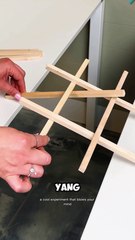 Eksperimen Kekuatan Stik Kayu! Bisa Tahan Beban Berat?!
