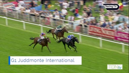 Shadwell Restore Beech House Stud as a Stallion Yard With New Boy Mostahdaf