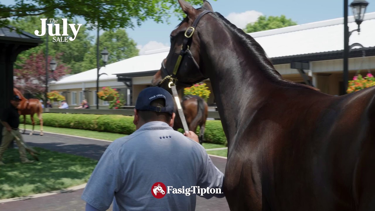 Fasig-Tipton Selected Yearlings 2024