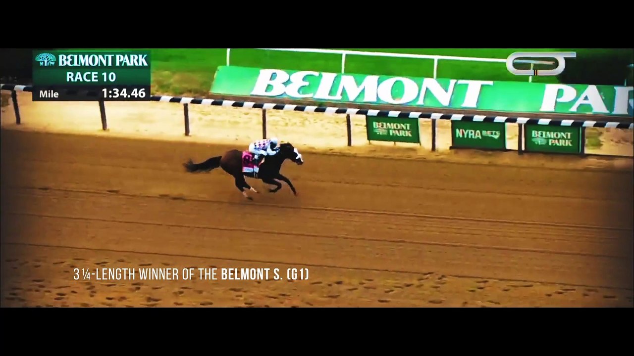 Tiz The Law is the Coolmore Stallion of the Week