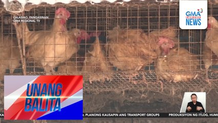 Produksiyon ng itlog, humina dahil sa mainit na panahon | Unang Balita