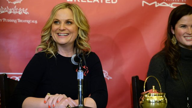 Amy Poehler reacts to being called 'poor man's Tina Fey': 'Everyone was shocked'