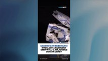 CANGGIH DAN BIKIN GEMES! NVIDIA CIPTAKAN ROBOT MIRIP WALL-E, KOLABORASI DENGAN DISNEY