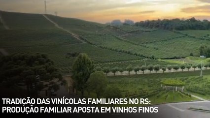 Tradição das vinícolas familiares no RS: produção familiar aposta em vinhos finos