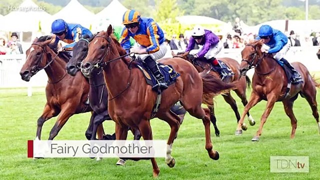 July's News You Can Use, Presented by Darley: The Glorious Goodwood Edition