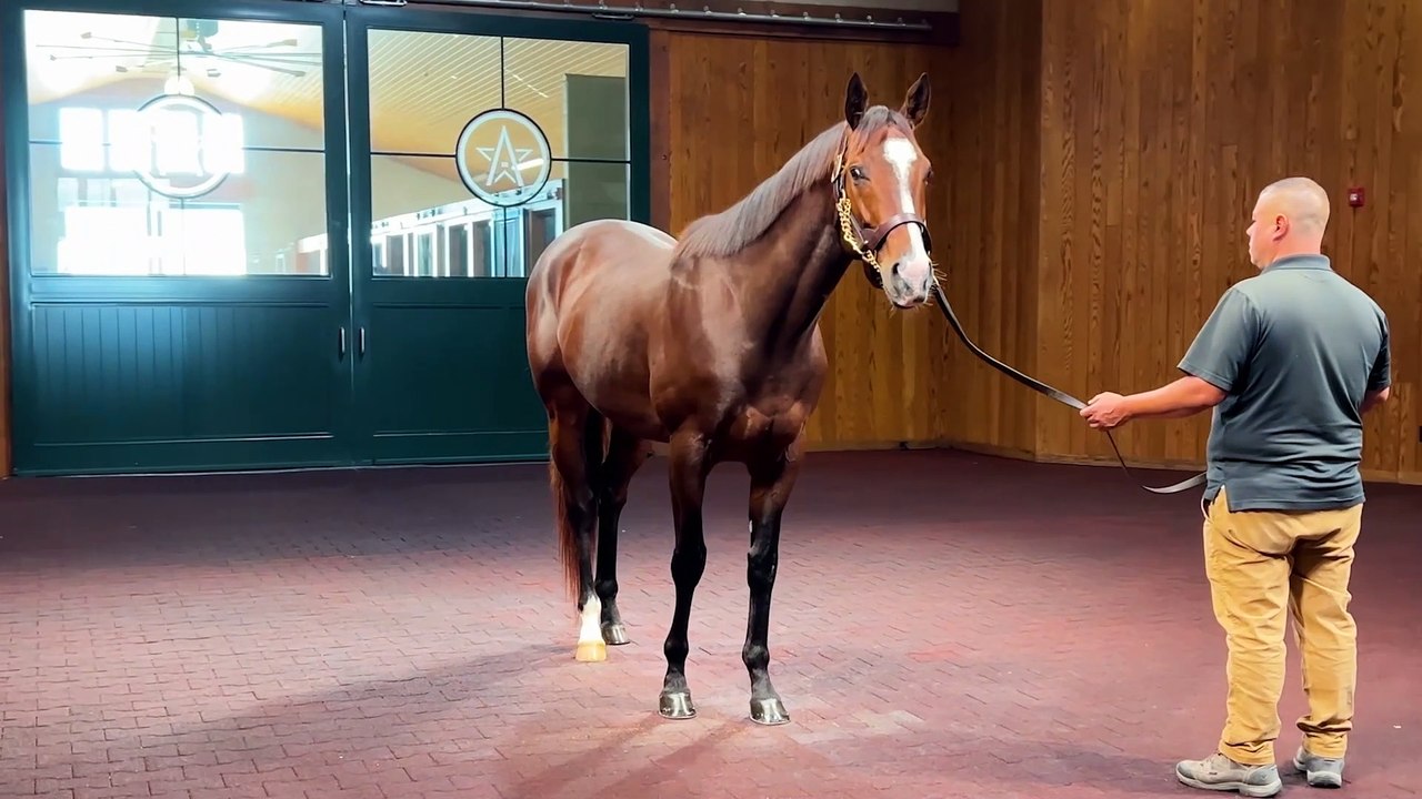 The Fastest Horse This Week is a Familiar Name