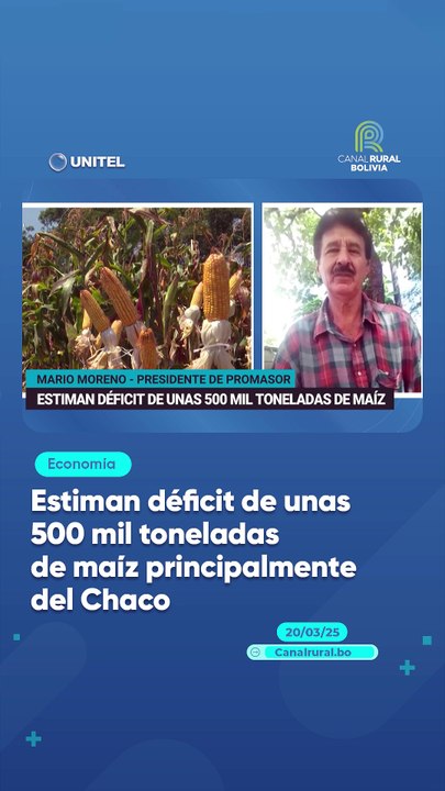 Estiman déficit de unas 500 mil toneladas de maíz principalmente del Chaco