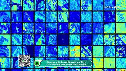 Google: rede de satélites que monitora incêndios florestais entra em operação