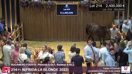 Half-Brother to Two Group 1 Winners Looks to Make a Splash in Arqana