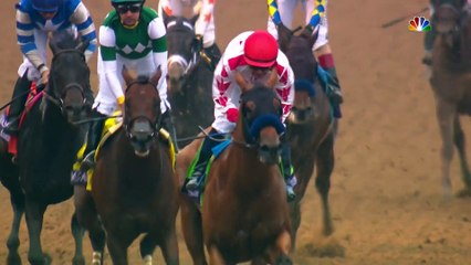 Corniche: First Foals