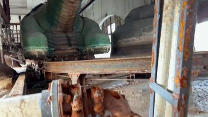 The Excalibur Dragon REDISCOVERED