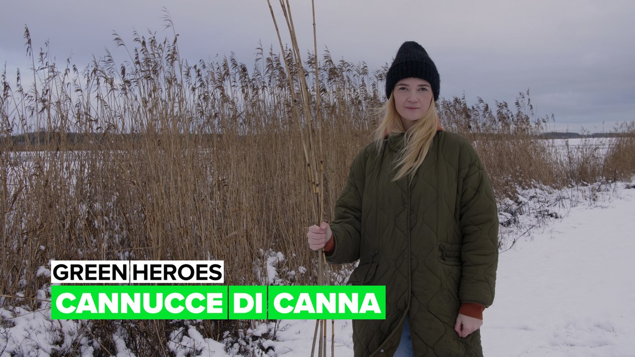 Green Heroes: Cannucce di canna