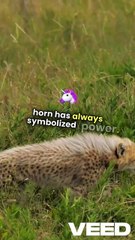 How to make approximately what percentage of people with posting healthy