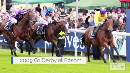 Celebrating Sea The Stars: Fifteen Years Since A Historic Three-Year-Old Campaign